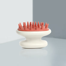 Load image into Gallery viewer, Dandruff Therapy Kit: Shampoo + Brush